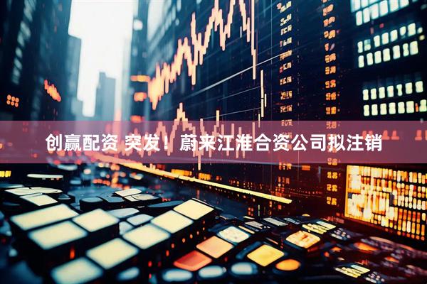 创赢配资 突发！蔚来江淮合资公司拟注销