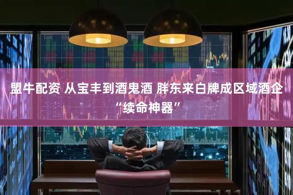 盟牛配资 从宝丰到酒鬼酒 胖东来白牌成区域酒企“续命神器”