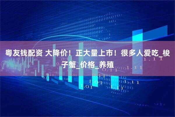 粤友钱配资 大降价！正大量上市！很多人爱吃_梭子蟹_价格_养殖