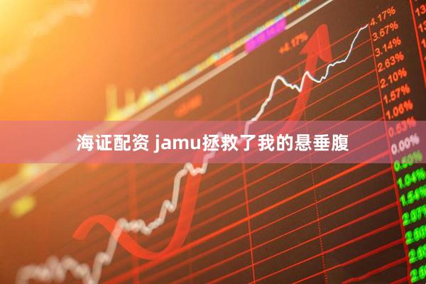 海证配资 jamu拯救了我的悬垂腹